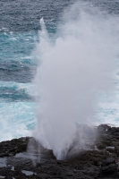 Blow hole